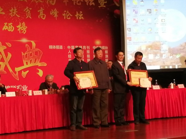 图片6